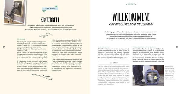 Produktbild: Katzen-Basics