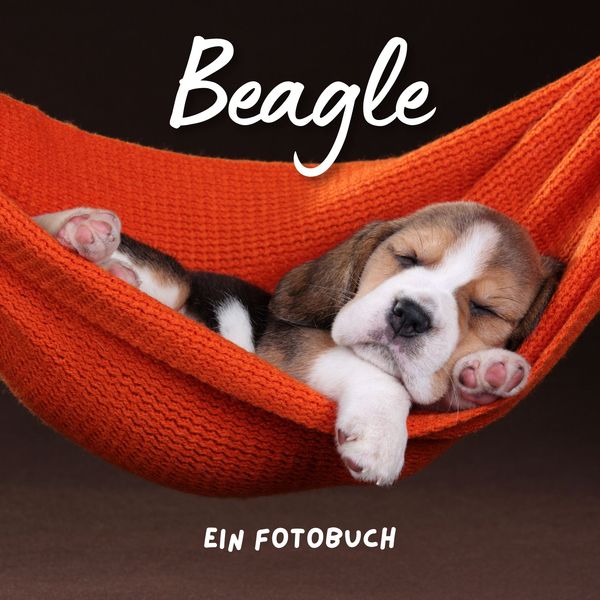 Beagle, Taschenbuch von Bibi Hübsch, 27amigos, 9783750514362