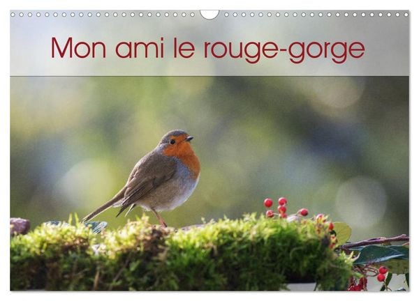 Produktbild: Mon ami le rouge-gorge (Calendrier mural 2026 DIN A3 vertical), CALVENDO calendrier mensuel