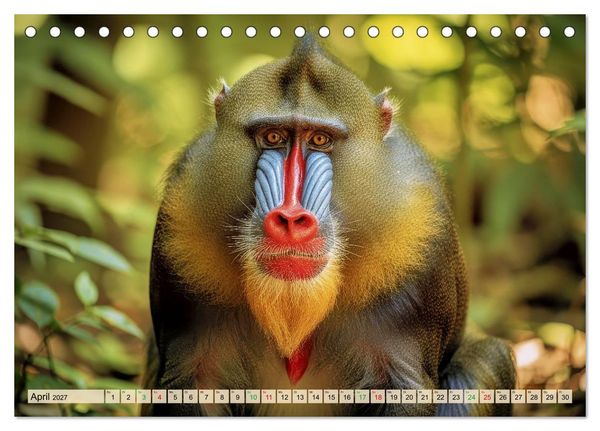 Produktbild: Die buntesten Tiere - Weltweit (Tischkalender 2027 DIN A5 quer), CALVENDO Monatskalender