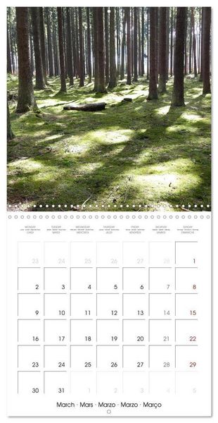 Produktbild: Habitat Forest (Wall Calendar 2026 12 &times; 12 Inch) CALVENDO 12 Month Wall Calendar