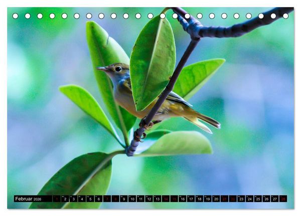 Produktbild: Naturparadies Galapagos - UNESCO Weltkulturerbe (Tischkalender 2026 DIN A5 quer), CALVENDO Monatskalender