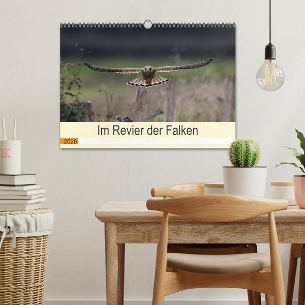 Produktbild: Im Revier der Falken (Wandkalender 2026 DIN A3 quer), CALVENDO Monatskalender