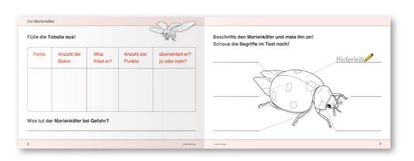 Produktbild: Ich kenne Waldtiere / Haus- und Hoftiere / Insekten und Spinnen. 3 Schülerarbeitshefte im Kombi für die 2. bis 4. Klasse