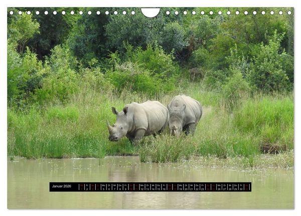 Produktbild: Afrika - Vielfalt in Flora und Fauna (Wandkalender 2026 DIN A4 quer), CALVENDO Monatskalender