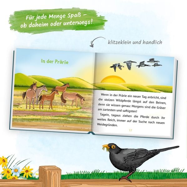 Produktbild: Tr&ouml;tsch Kinderbuch Mein klitzekleines Kinderbuch Pferdegeschichten