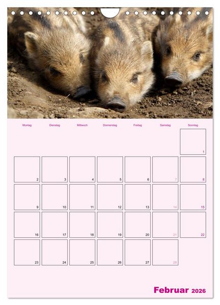 Produktbild: Schweinischer Terminplaner (Wandkalender 2026 DIN A4 hoch), CALVENDO Monatskalender