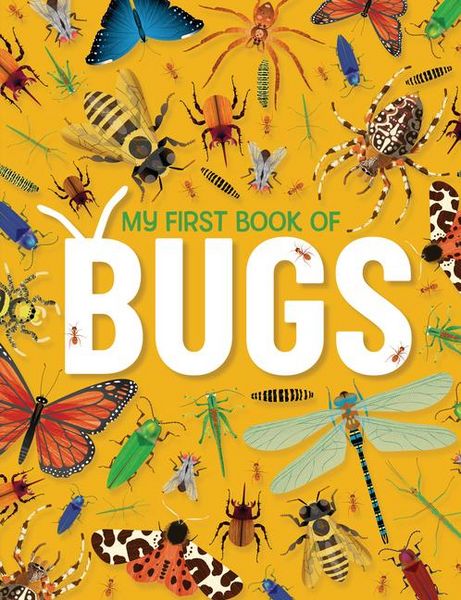 Produktbild: My First Book of Bugs