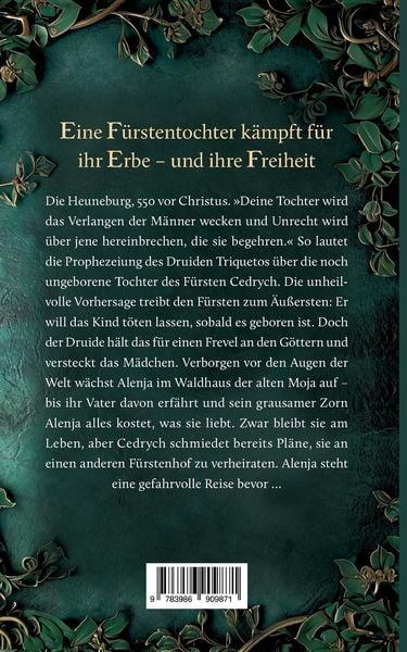 Produktbild: Die Tochter der Kelten