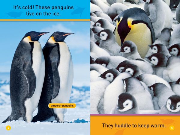 Produktbild: Hello, Penguin! (National Geographic Kids Readers, Pre-Reader)
