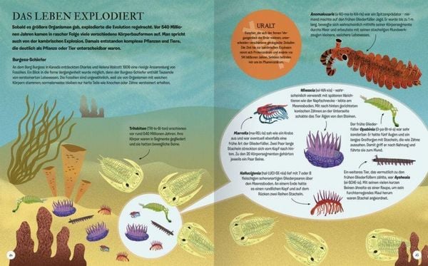 Produktbild: Die Geschichte des Lebens - Erstaunliche Evolution!