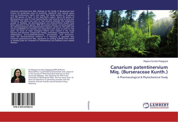 Produktbild: Canarium patentinervium Miq. (Burseraceae Kunth.)
