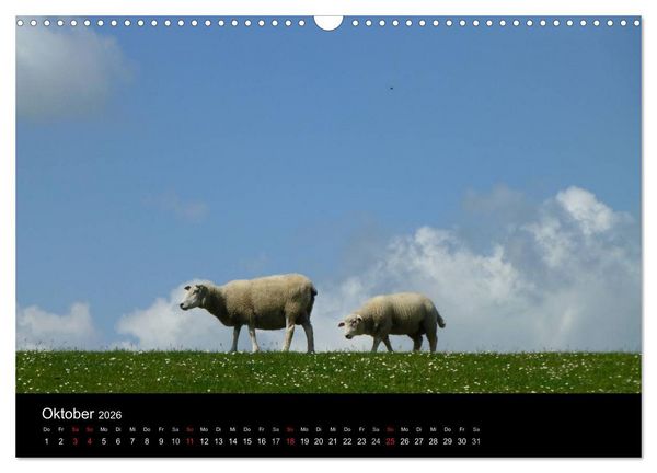 Produktbild: Wunderbare Nordsee (Wandkalender 2026 DIN A3 quer), CALVENDO Monatskalender