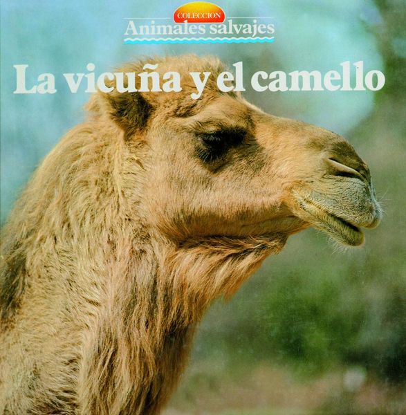 Produktbild: La vicu&ntilde;a y el camello