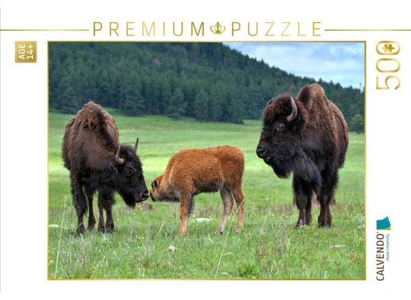 CALVENDO Puzzle Bison Familie im Custer State Park | 500 Teile Lege-Größe 48 × 36 cm Foto-Puzzle für Erwachsene