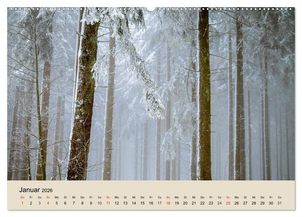 Produktbild: Der Wald. Durch zauberhafte Waldlandschaften (hochwertiger Premium Wandkalender 2026 DIN A2 quer), Kunstdruck in Hochglanz