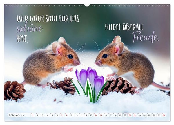 Produktbild: Ein tierisch gutes Jahr (hochwertiger Premium Wandkalender 2026 DIN A2 quer), Kunstdruck in Hochglanz