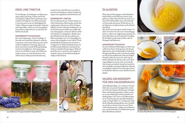 Produktbild: Meine Gartenapotheke. Heilen und gesund leben mit Gem&uuml;se, Obst, Heilkr&auml;utern und Heilpflanzen aus dem Garten