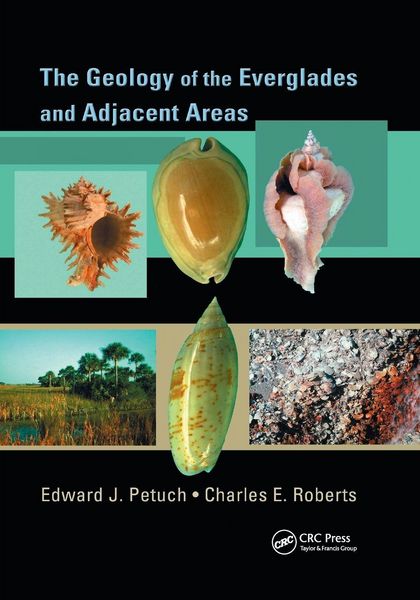 Produktbild: The Geology of the Everglades and Adjacent Areas