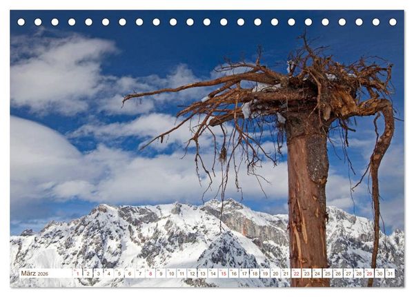 Produktbild: Alles aus Holz (Tischkalender 2026 DIN A5 quer), CALVENDO Monatskalender