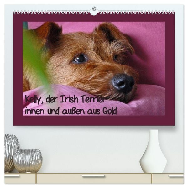 Produktbild: Kelly, der Irish Terrier - innen und au&szlig;en aus Gold (hochwertiger Premium Wandkalender 2026 DIN A2 quer), Kunstdruck in Hochglanz