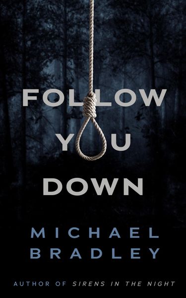 Produktbild: Follow You Down