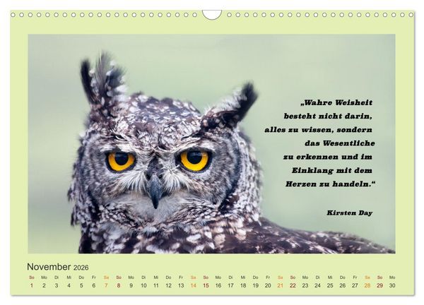 Produktbild: Co-Kreation, Gemeinsam Wunder erschaffen (Wandkalender 2026 DIN A3 quer), CALVENDO Monatskalender