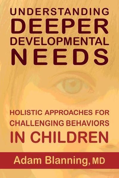 Produktbild: Understanding Deeper Developmental Needs