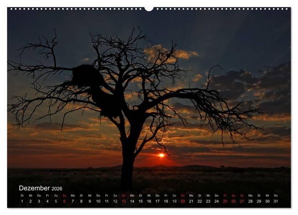Produktbild: Afrikanische B&auml;ume (Wandkalender 2026 DIN A2 quer), CALVENDO Monatskalender