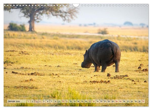 Produktbild: Namibia - Simbabwe - Botswana Leben zwischen W&uuml;ste und Wildnis (Wandkalender 2026 DIN A3 quer), CALVENDO Monatskalender