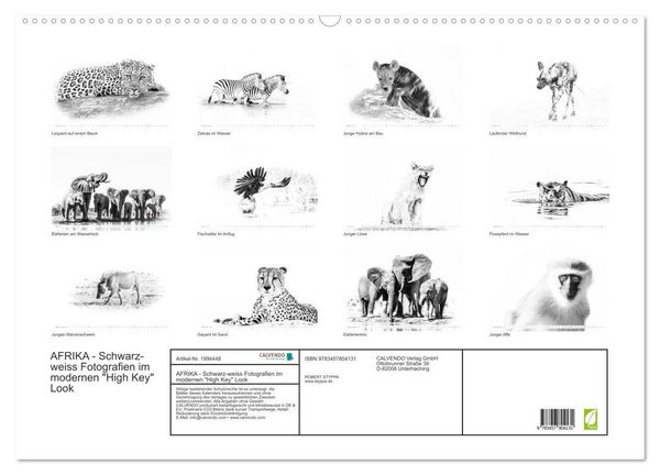 Produktbild: AFRIKA - Schwarz-weiss Fotografien im modernen "High Key" Look (Wandkalender 2026 DIN A2 quer), CALVENDO Monatskalender