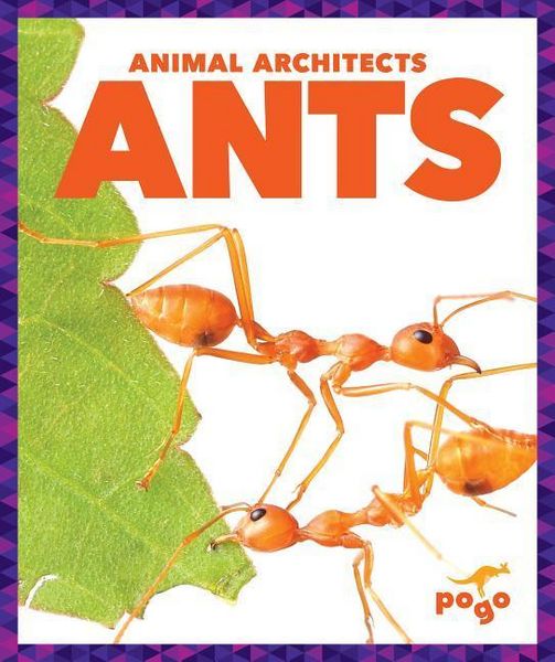 Produktbild: Ants