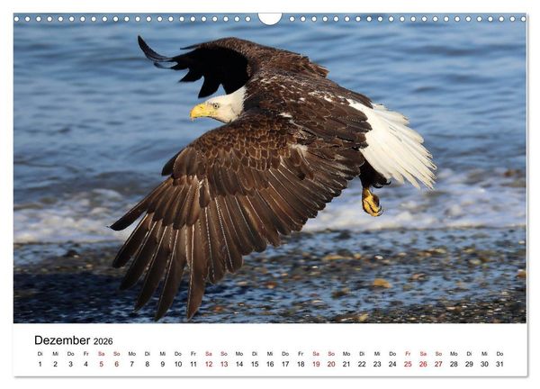 Produktbild: Alaska und West-Kanada (Wandkalender 2026 DIN A3 quer), CALVENDO Monatskalender