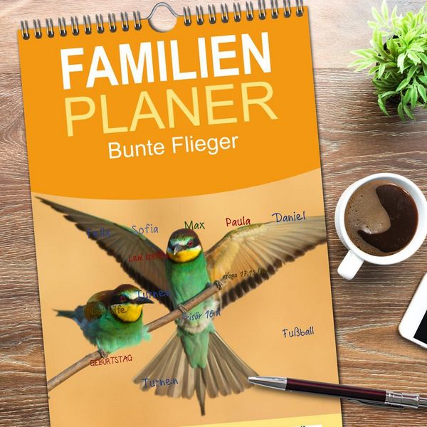 Produktbild: Familienplaner 2026 - Bunte Flieger mit 5 Spalten (Wandkalender, 21 x 45 cm) CALVENDO