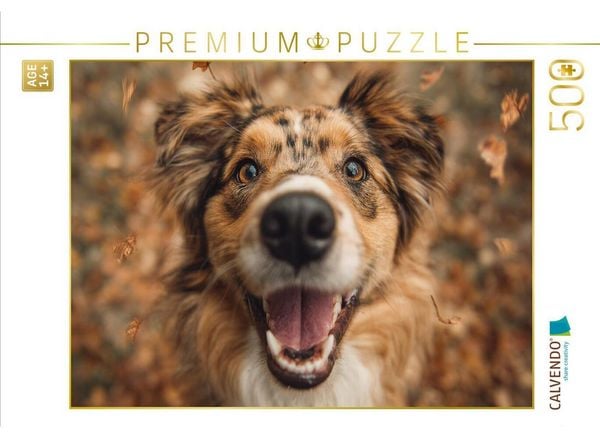 CALVENDO Puzzle Herbstglück auf vier Pfoten | 500 Teile Lege-Größe 48 × 36 cm Foto-Puzzle für Erwachsene
