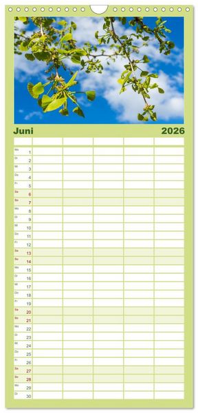 Produktbild: Familienplaner 2026 - Mit Ginkgo biloba durch das Jahr mit 5 Spalten (Wandkalender, 21 x 45 cm) CALVENDO