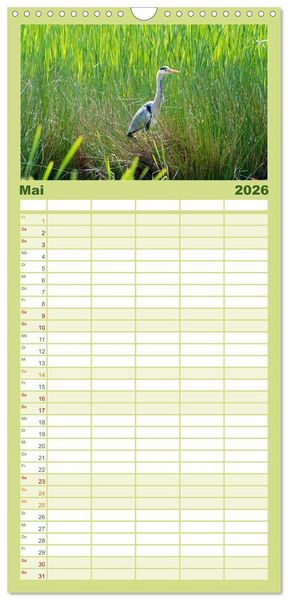 Produktbild: Familienplaner 2026 - Heimische V&ouml;gel mit 5 Spalten (Wandkalender, 21 x 45 cm) CALVENDO