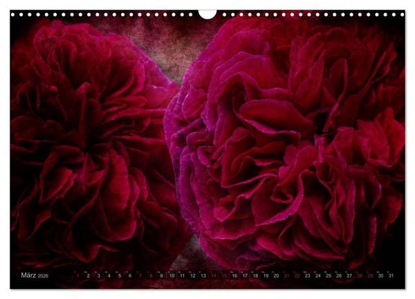 Produktbild: Gothic Rose - Rosen aus dem Garten der Finsternis (Wandkalender 2026 DIN A3 quer), CALVENDO Monatskalender