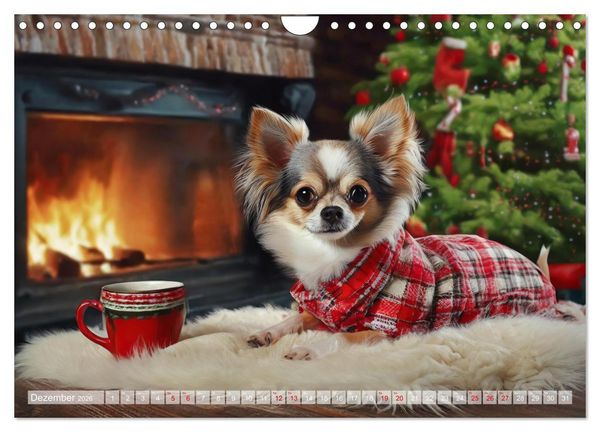 Produktbild: Chillige Chihuahuas - Entspannte Fellnasen genie&szlig;en das Leben (Wandkalender 2026 DIN A4 quer), CALVENDO Monatskalender