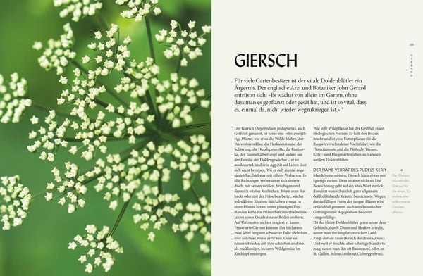 Produktbild: Die "Unkr&auml;uter" in meinem Garten