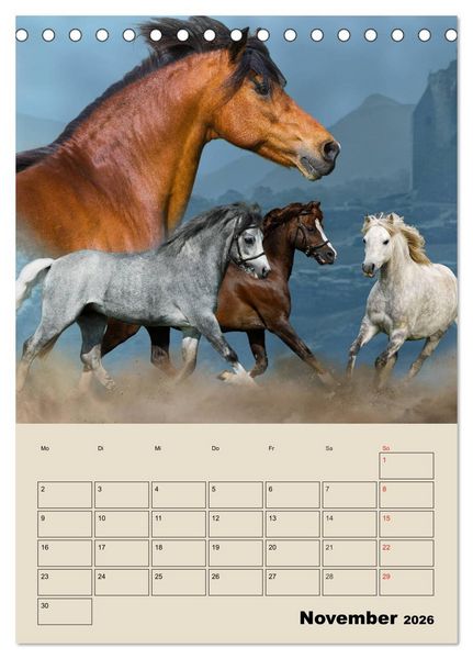 Produktbild: Pferdetr&auml;umereien - Traumbilder von Traumpferden (Tischkalender 2026 DIN A5 hoch), CALVENDO Monatskalender