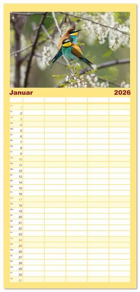 Produktbild: Familienplaner 2026 - Bunte Flieger mit 5 Spalten (Wandkalender, 21 x 45 cm) CALVENDO