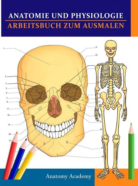 Produktbild: Anatomie und Physiologie Arbeitsbuch zum Ausmalen