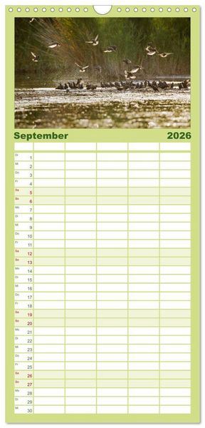Produktbild: Familienplaner 2026 - Das faszinierende Reich der V&ouml;gel mit 5 Spalten (Wandkalender, 21 x 45 cm) CALVENDO
