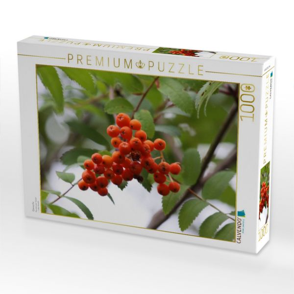Produktbild: CALVENDO Puzzle Eberesche | 1000 Teile Lege-Gr&ouml;&szlig;e 64x48cm Foto-Puzzle f&uuml;r gl&uuml;ckliche Stunden