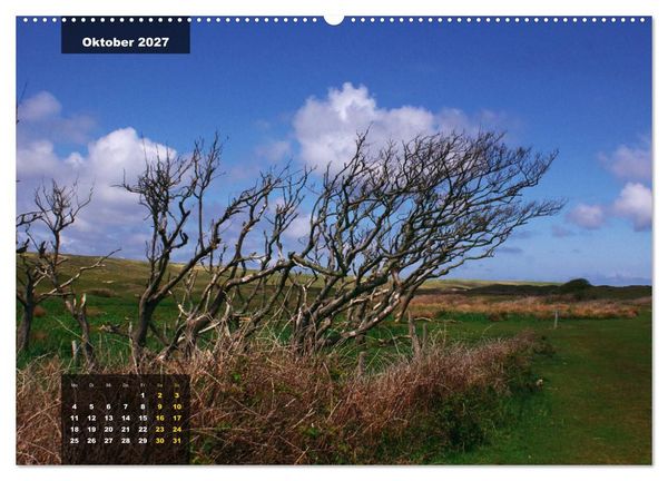Produktbild: Texel Insel mit Charakter (Wandkalender 2027 DIN A2 quer), CALVENDO Monatskalender