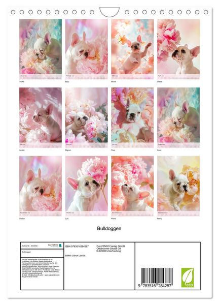 Produktbild: Bulldoggen (Wandkalender 2026 DIN A4 hoch), CALVENDO Monatskalender