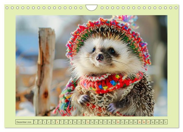 Produktbild: Zauberhafte Igel-Models. Blumiger Stil in der Natur (Wandkalender 2026 DIN A4 quer), CALVENDO Monatskalender