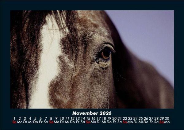 Produktbild: Die Welt der Pferde 2026 Fotokalender DIN A5