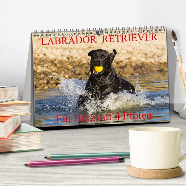 Produktbild: Labrador Retriever - ein Herz auf 4 Pfoten (Tischkalender 2026 DIN A5 quer), CALVENDO Monatskalender